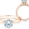 Diamantring Classic 6 Hidden Halo