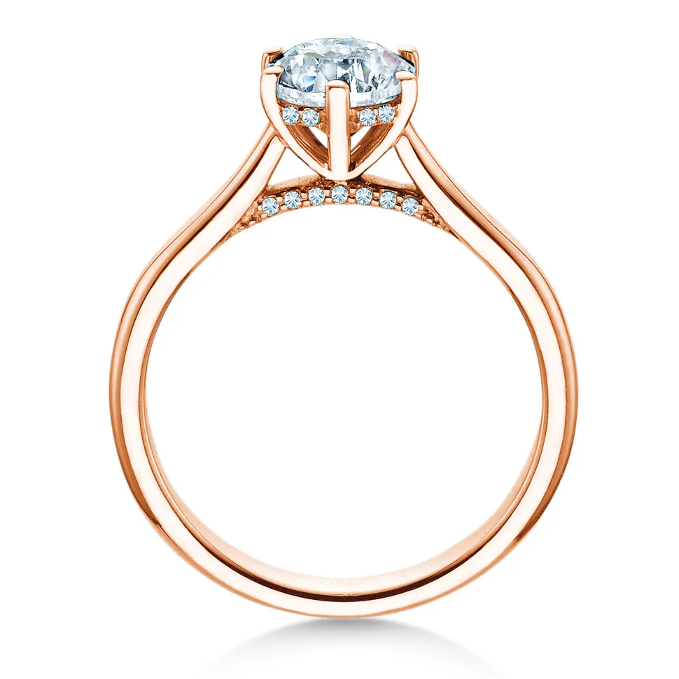 Diamantring Classic 6 Hidden Halo