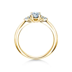 Diamantring Vivid Diamond