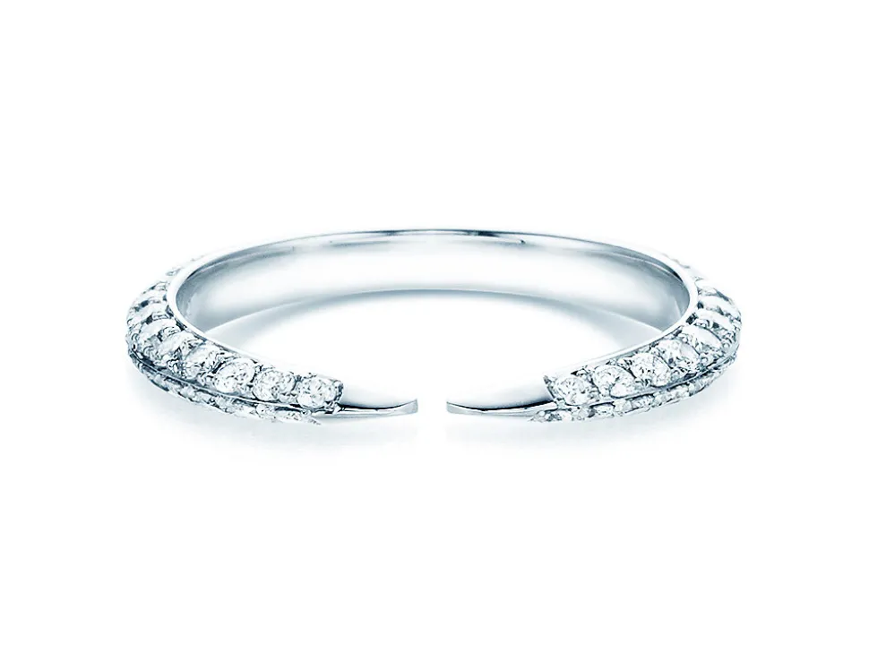 Eternityring Fierce Gap