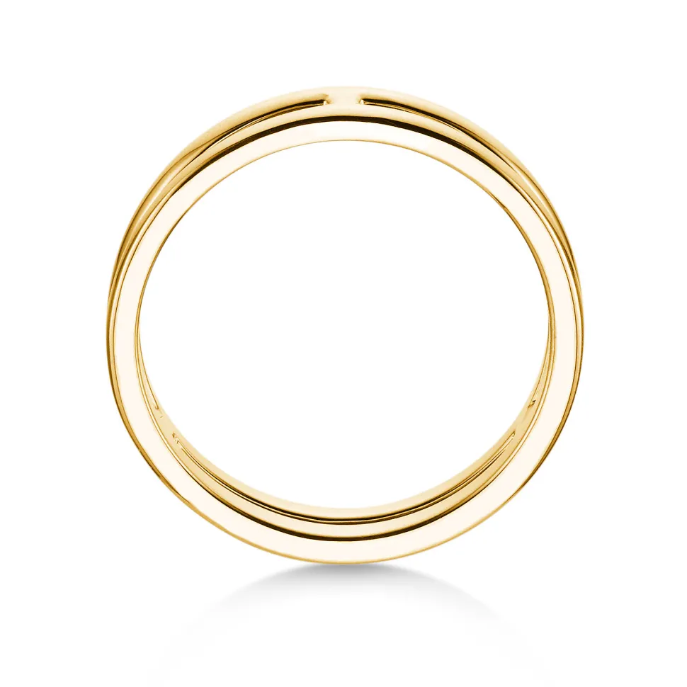 Ring Link