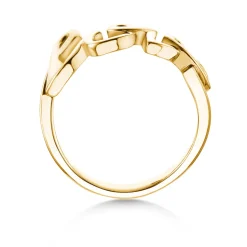 Ring Love Clean