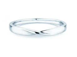 Ring Spin